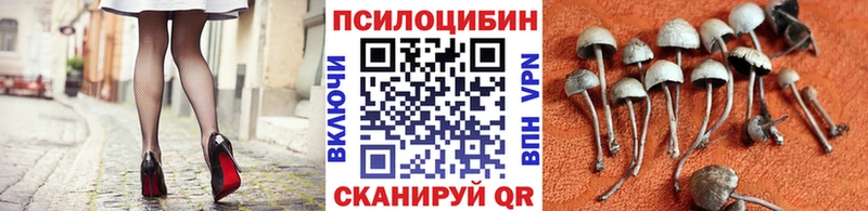 Псилоцибиновые грибы прущие грибы  Ржев 